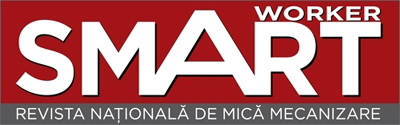 logo Smart Worker
